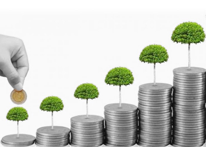 best offshore investments