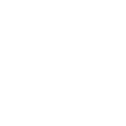 INVESTMENT MANAGEMENT