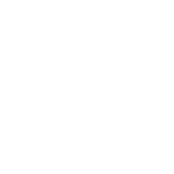 INTERNATIONAL PROPERTY 